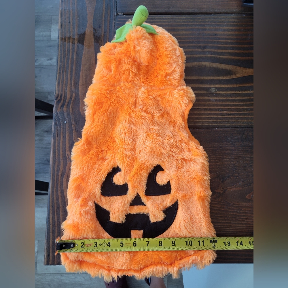 Dog Pumpkin Costume - Orange and Black